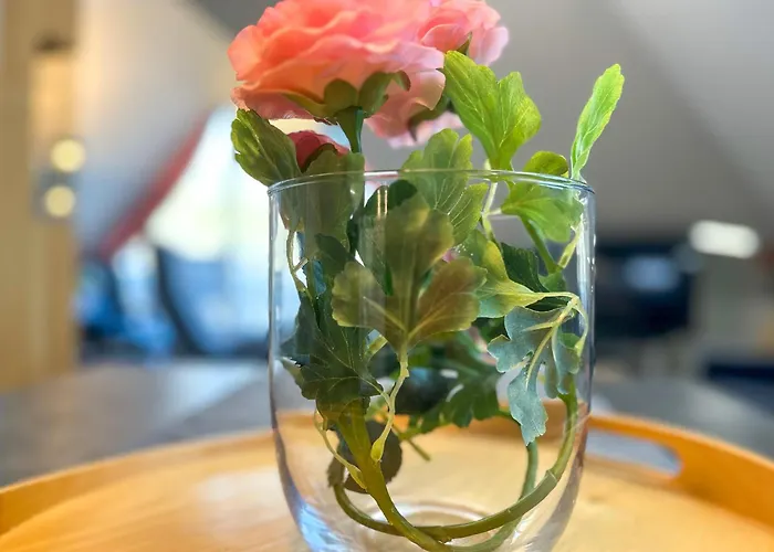 Residenz Seestern 49 Boltenhagen (Ostseebad)